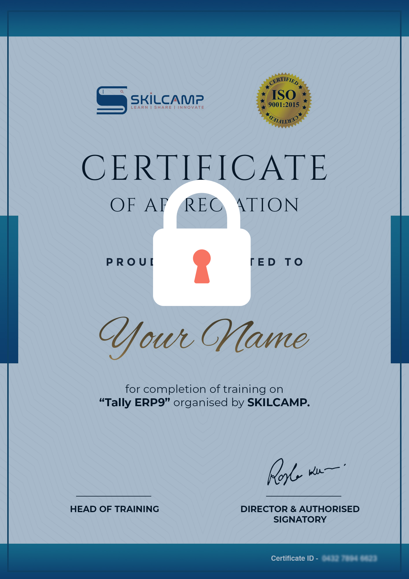 Tally ERP9