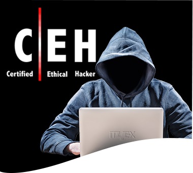 Ethical Hacking